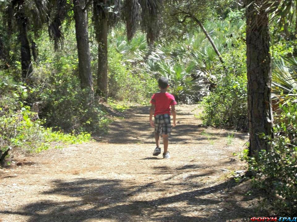 Современные городские парки