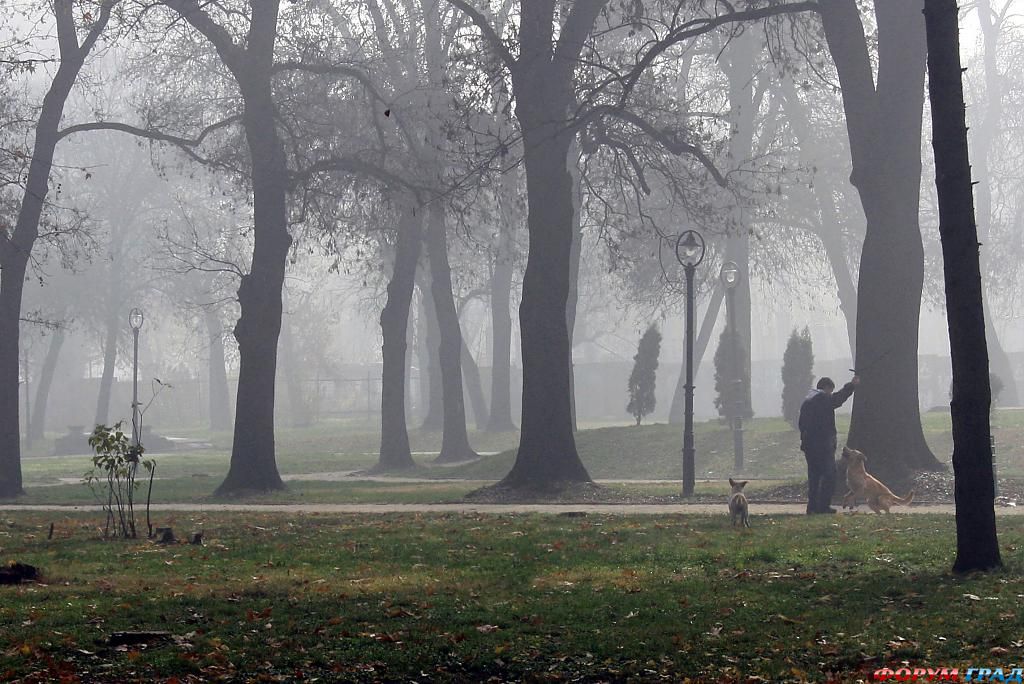 прекрасные творения рук человеческих
