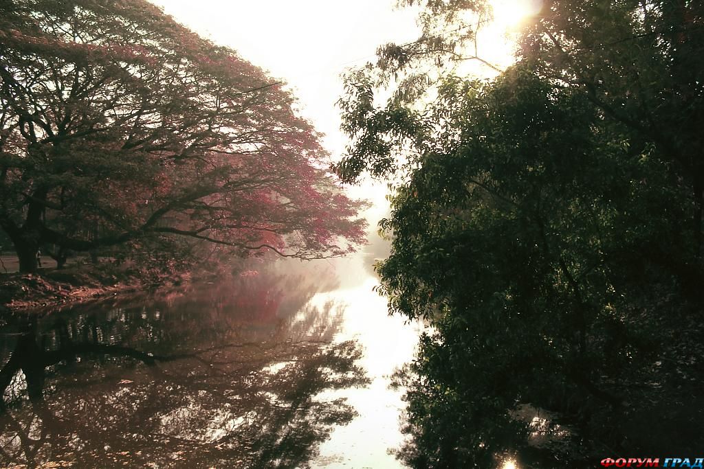 прекрасные творения рук человеческих