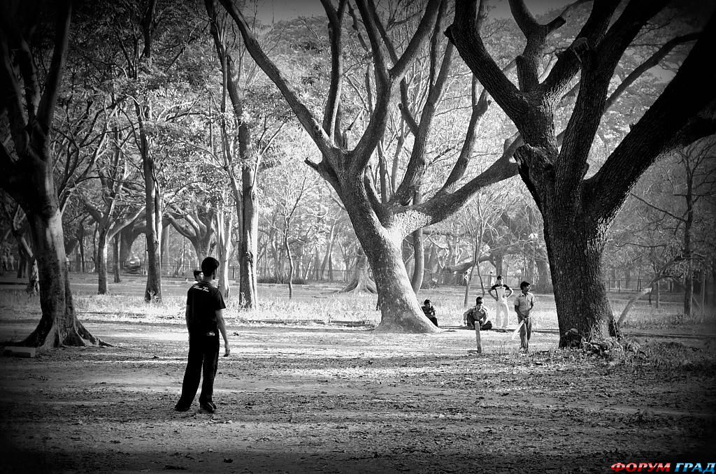 прекрасные творения рук человеческих