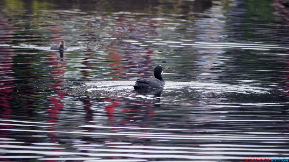 прекрасные творения рук человеческих