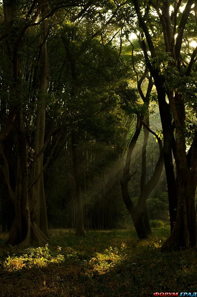 прекрасные творения рук человеческих