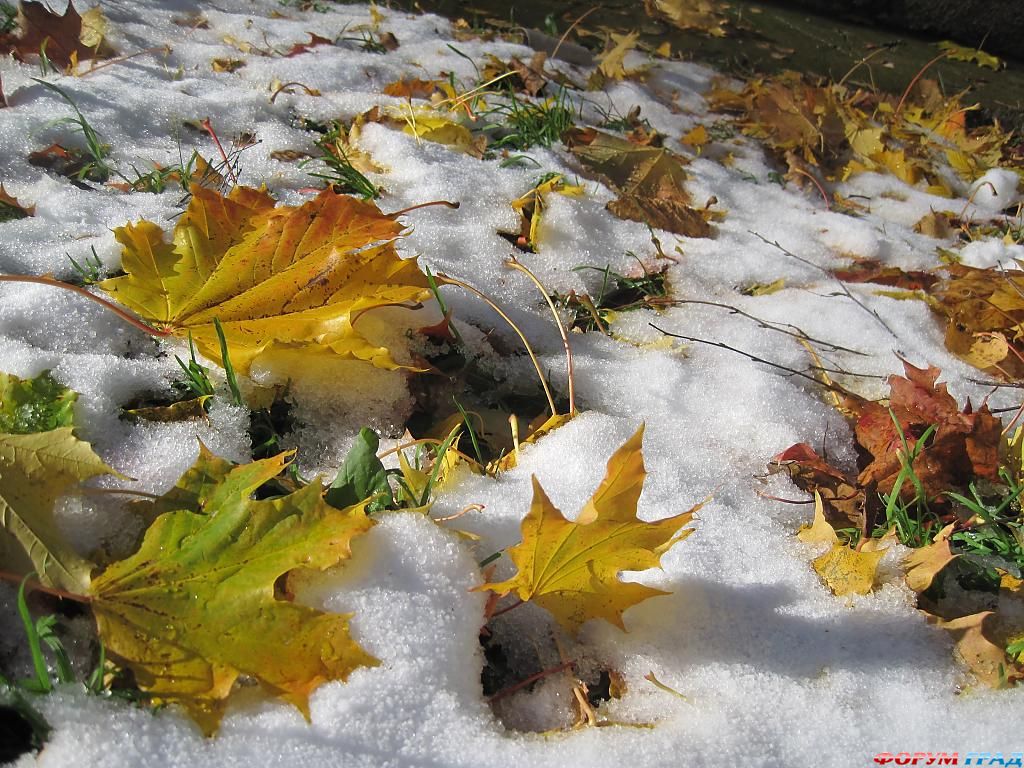 прекрасные творения рук человеческих