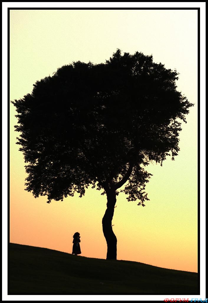 величайшие парки мира