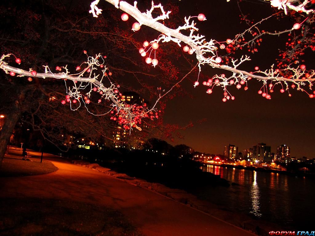 величайшие парки мира