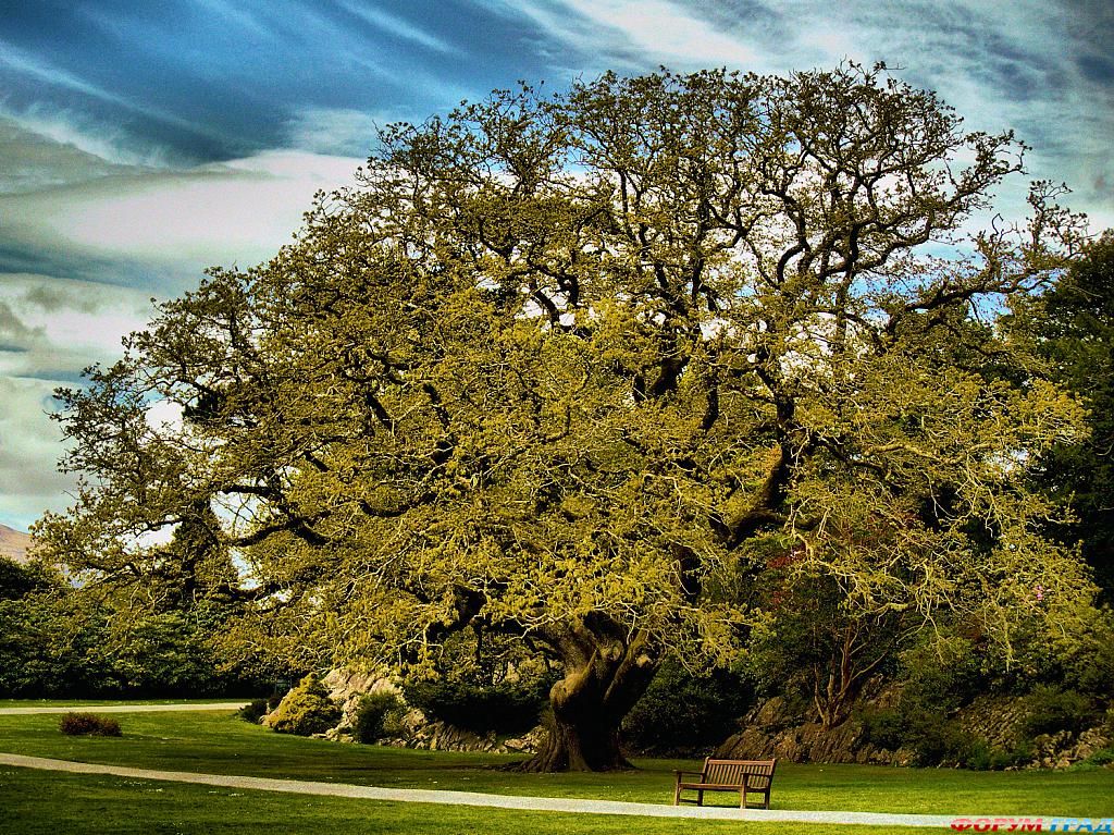 величайшие парки мира