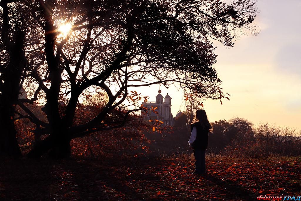фото самых красивых садов и парков мира