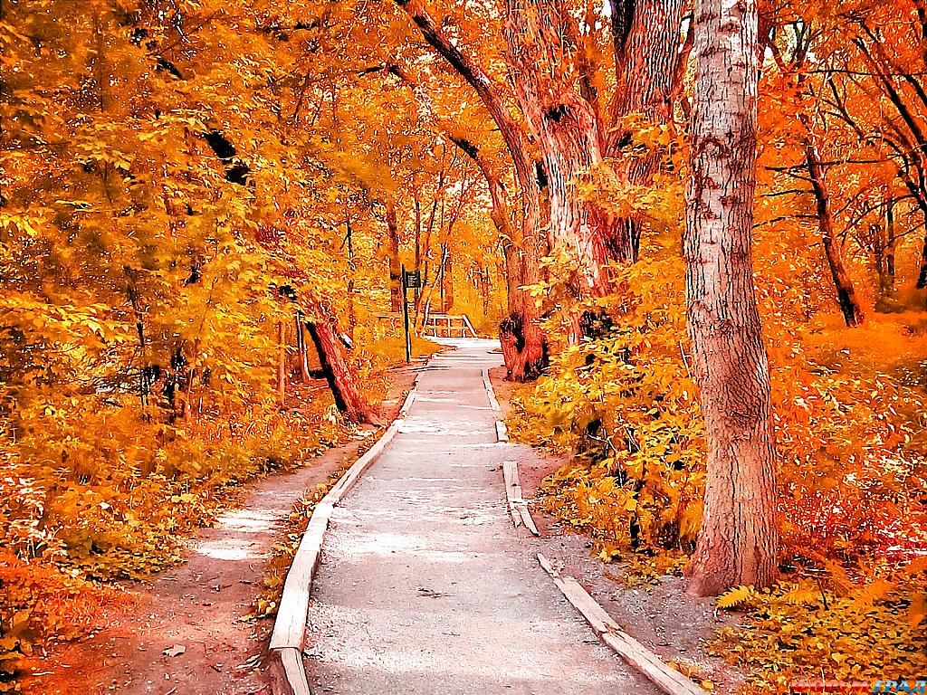 фото самых красивых садов и парков мира