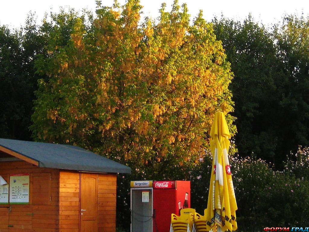 фото самых красивых садов и парков мира