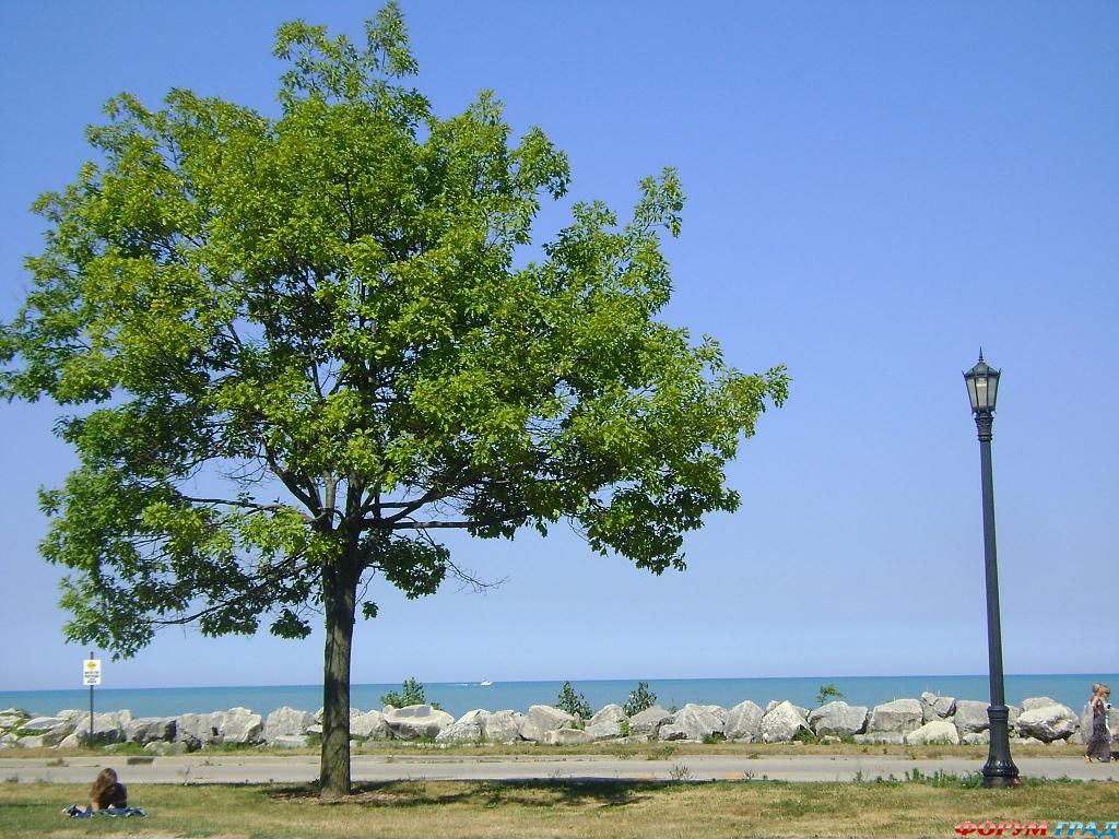 фото самых красивых садов и парков мира