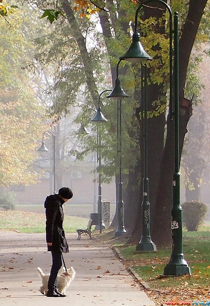 фото самых красивых садов и парков мира