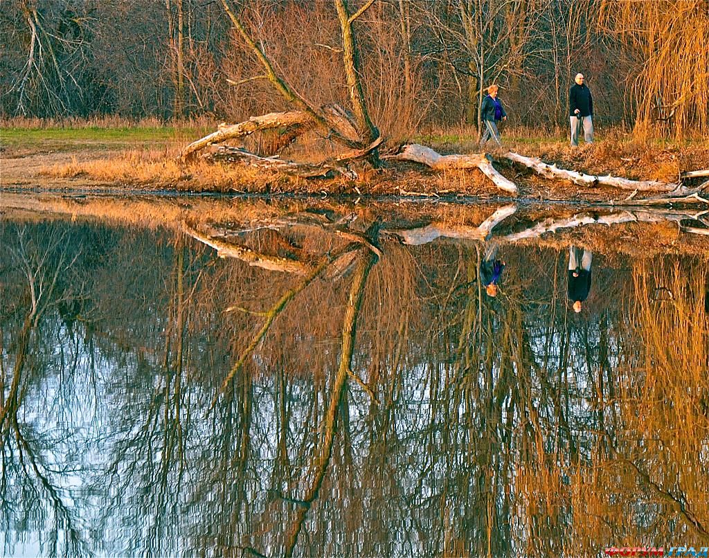 фото самых красивых садов