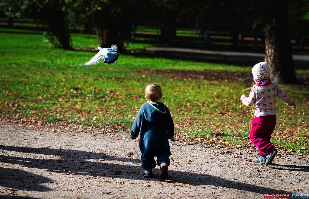 фото самых красивых садов