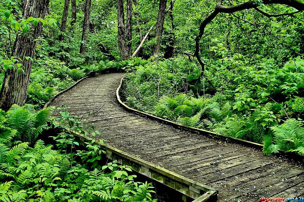 фото самых красивых садов