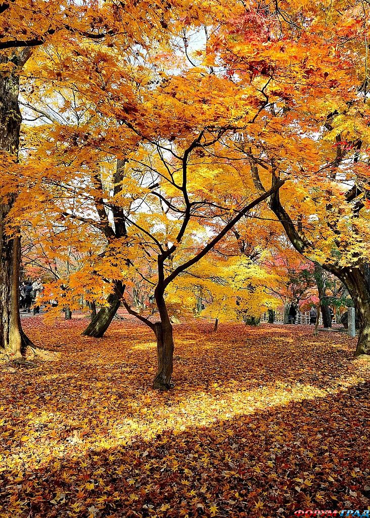 фото самых красивых садов