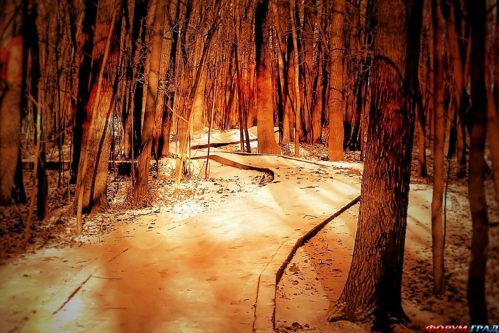 фото самых красивых садов