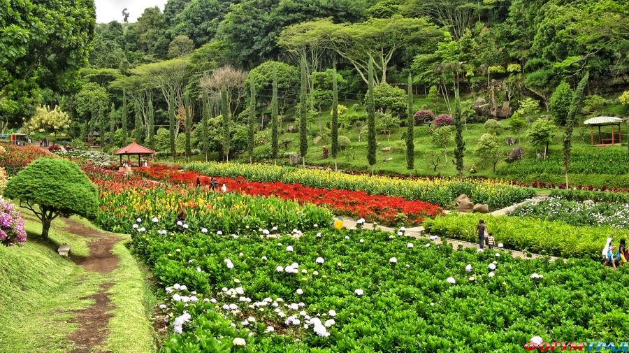 Лучшие городские парки мира