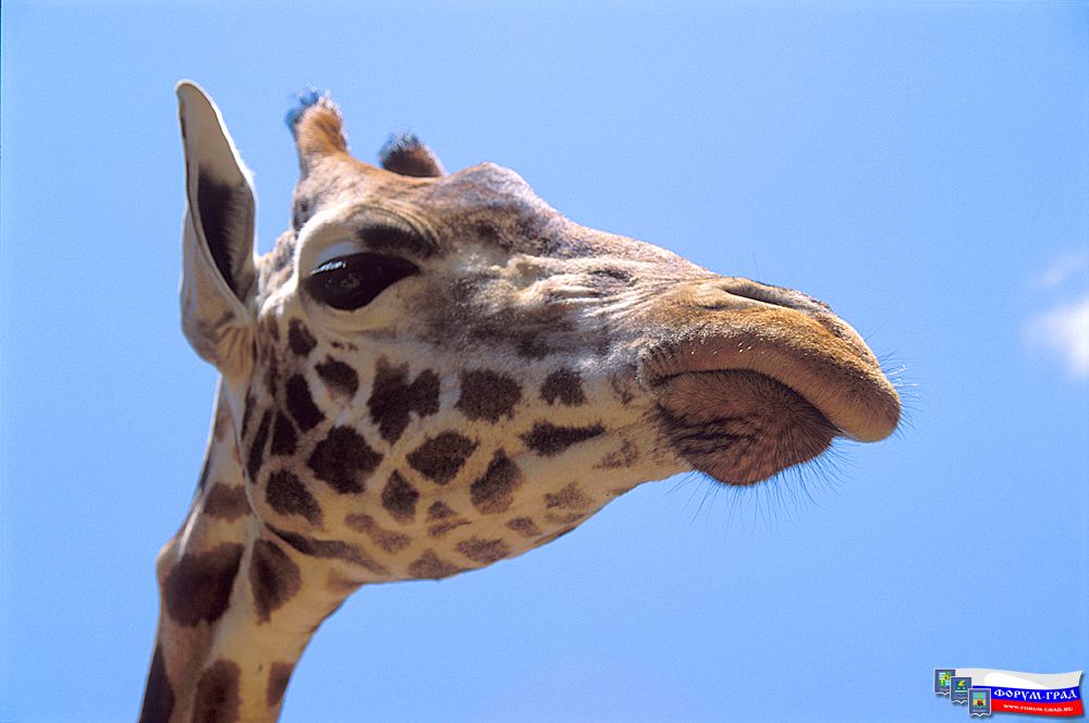 Africa10