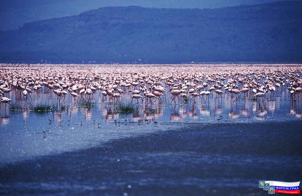 Africa108