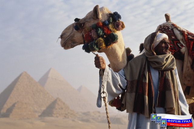 Egypt37