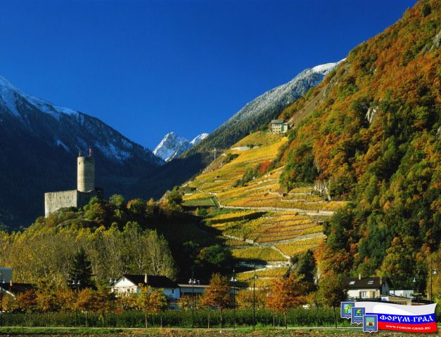 Europe459