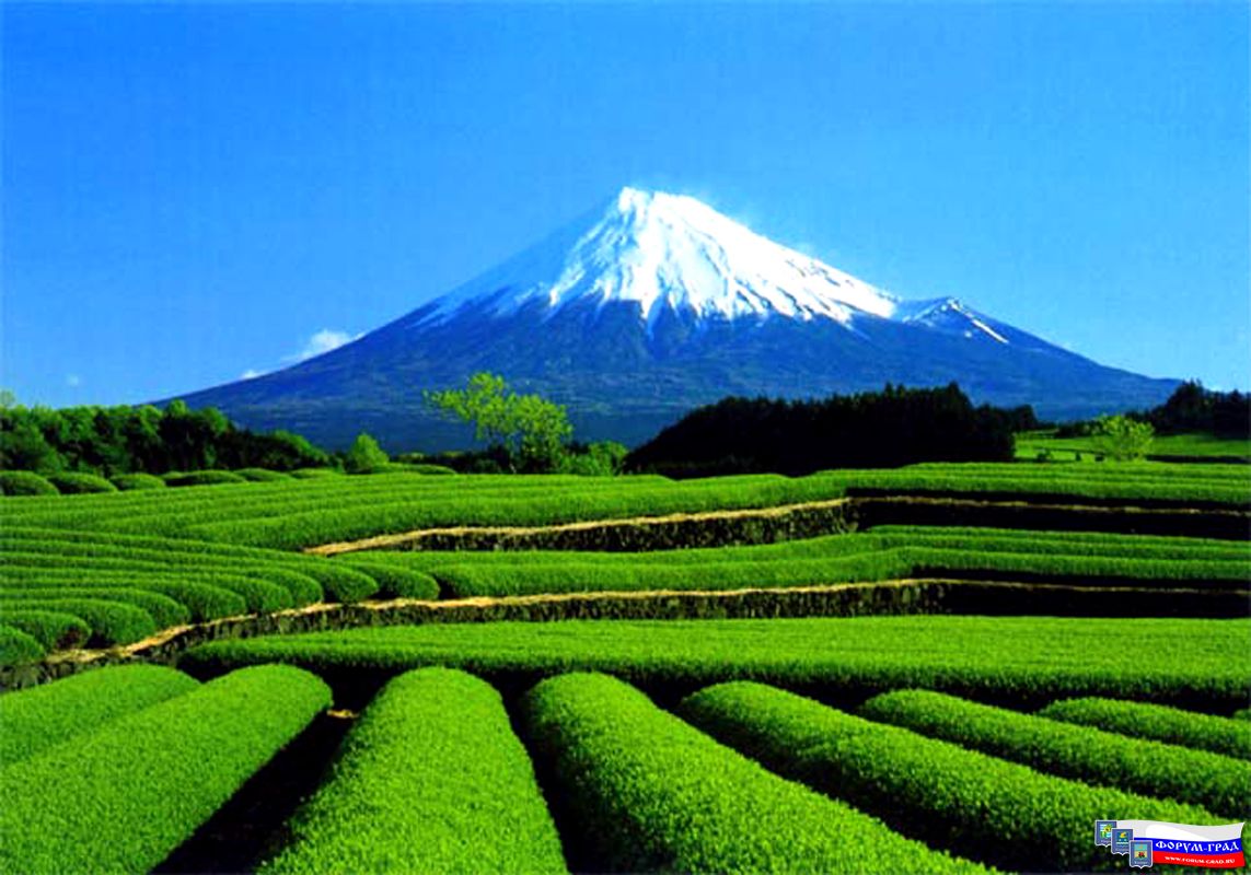 Japan2