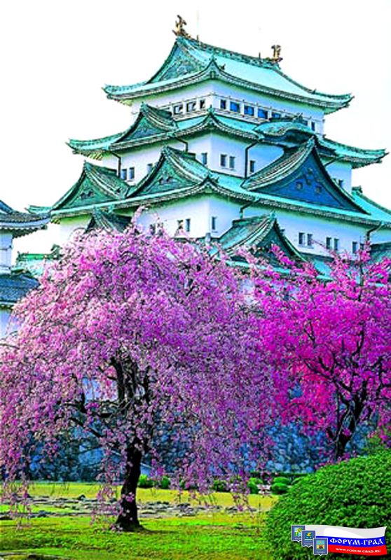 Japan8