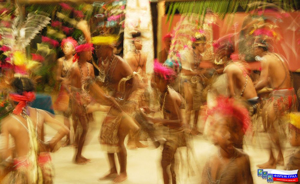 Papua33