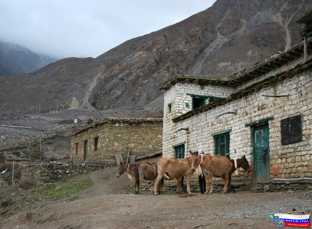 Tibet168
