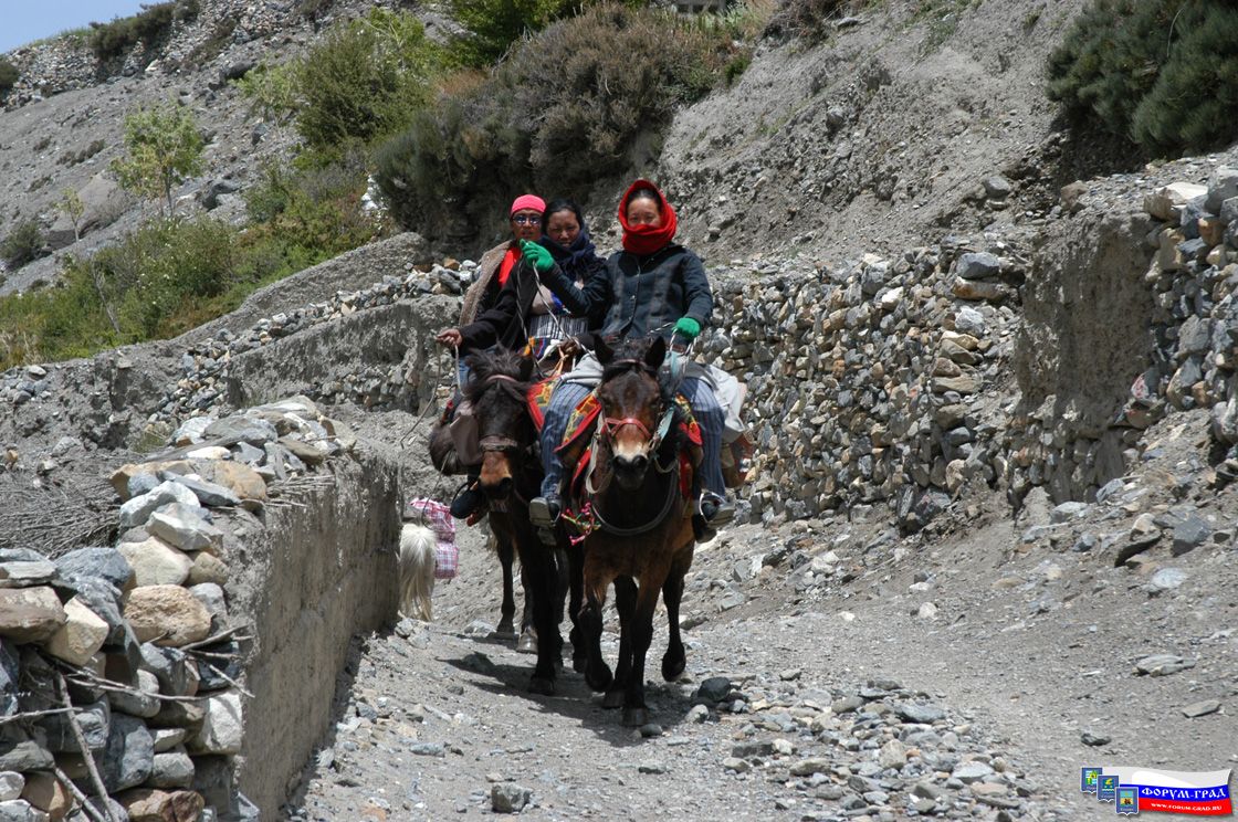 Tibet93