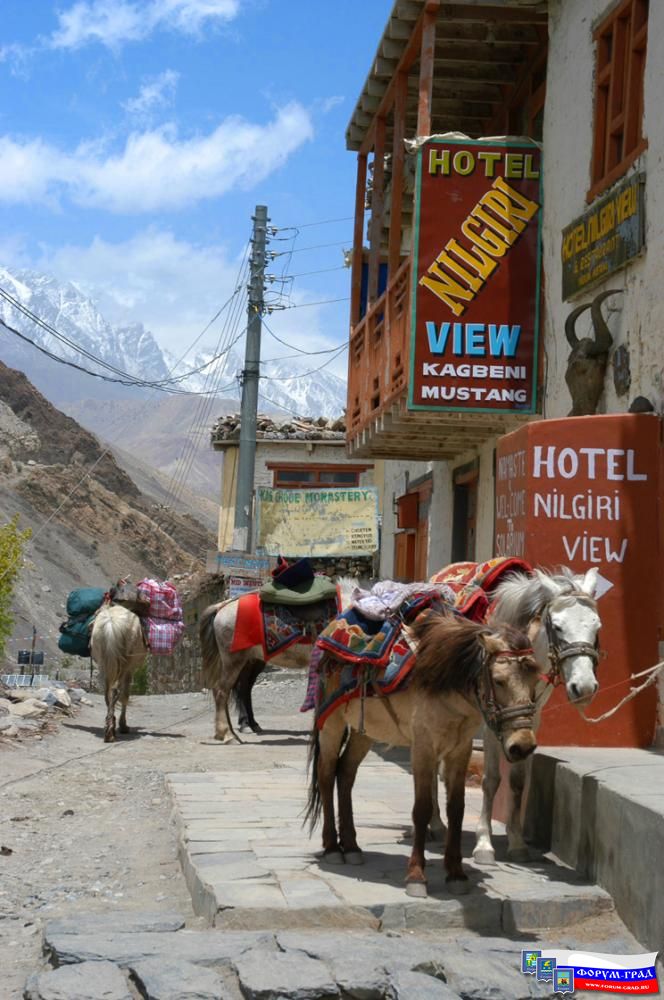 Tibet96