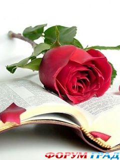 Сердечки и валентинки