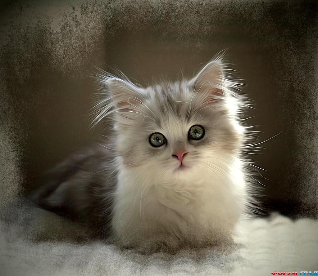 big-eyes-38