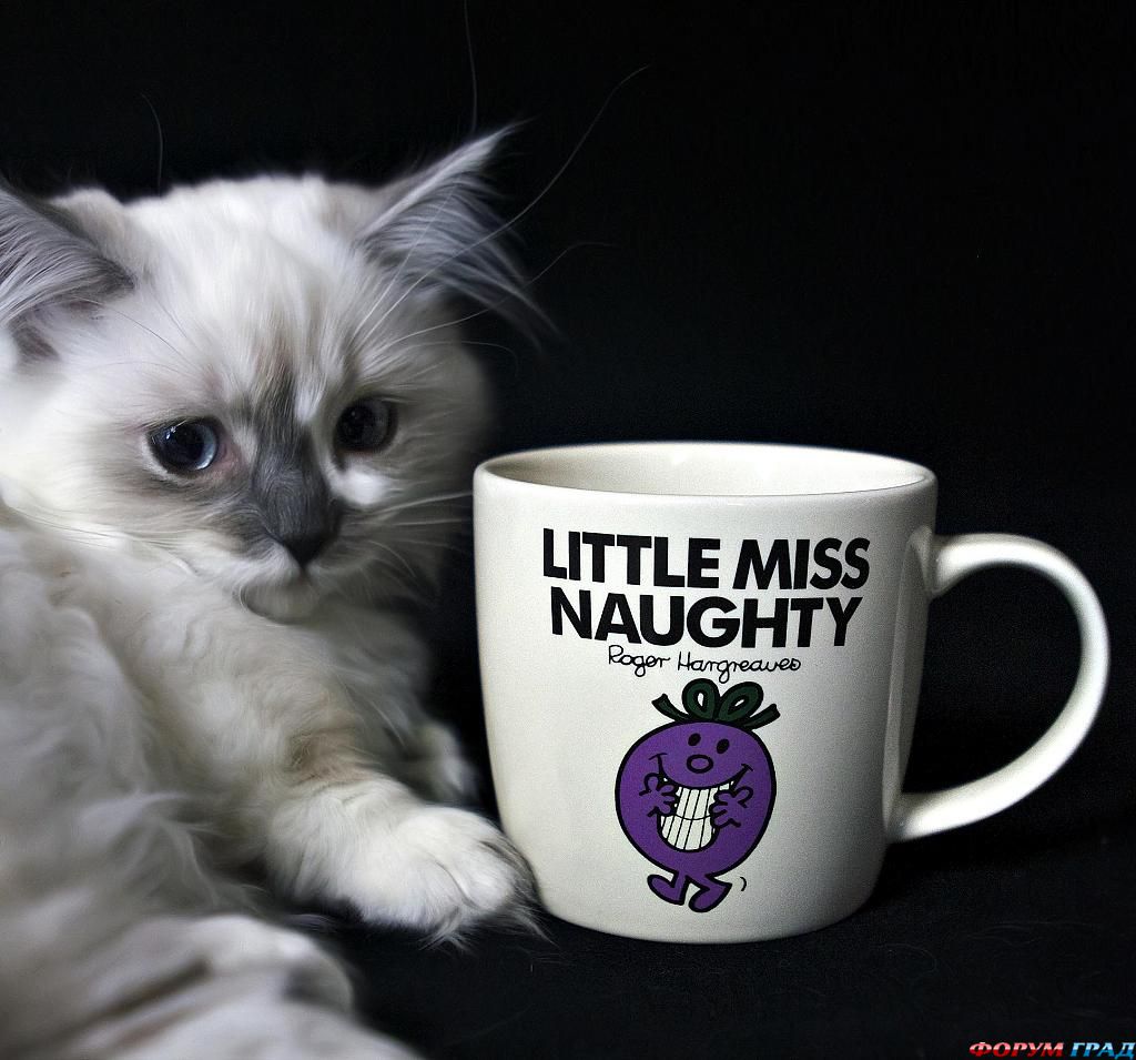 little-miss-naughty-31