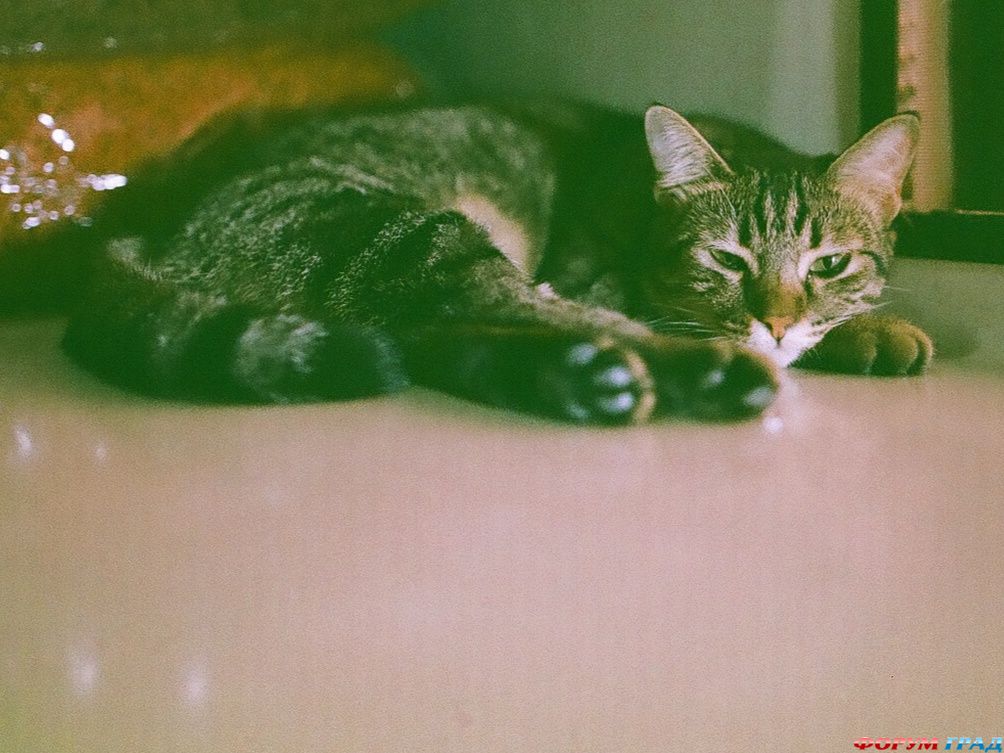 sleepy-a155