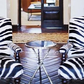 Daring Decorating Trends