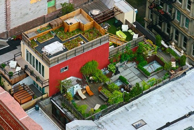 Rooftop Garden Design