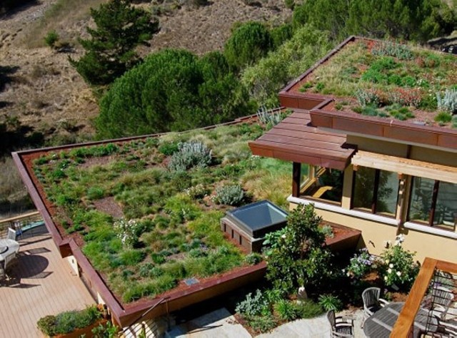 Rooftop Garden Design