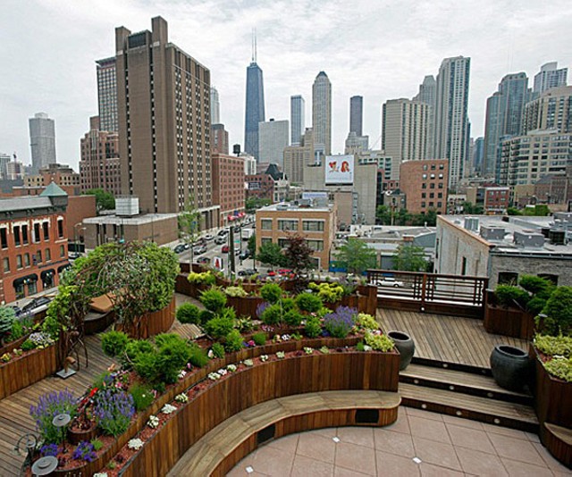 Rooftop Garden Design