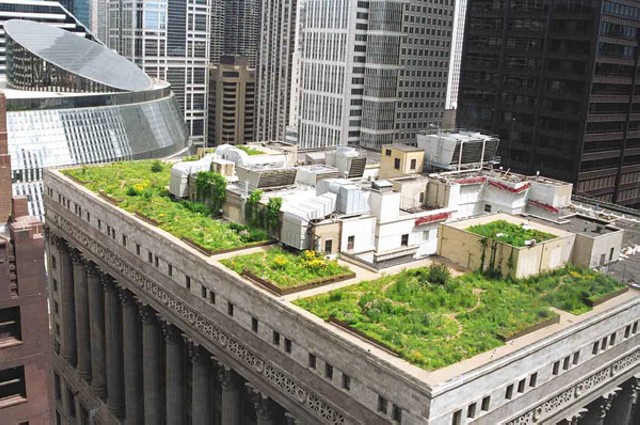 Rooftop Garden Design