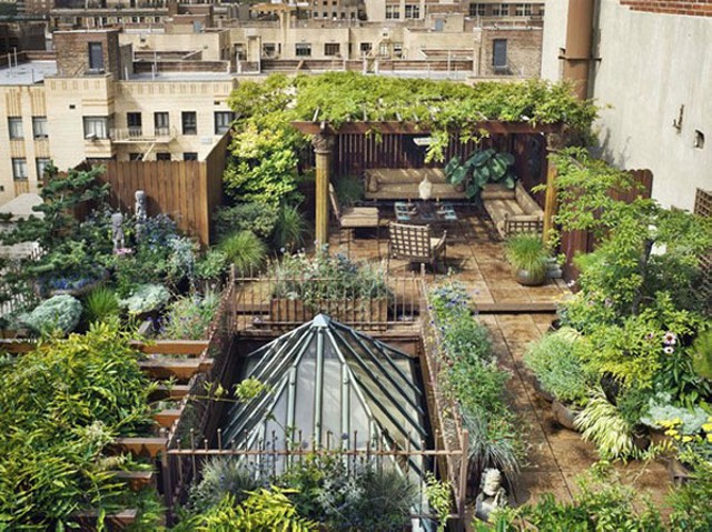 Rooftop Garden Design