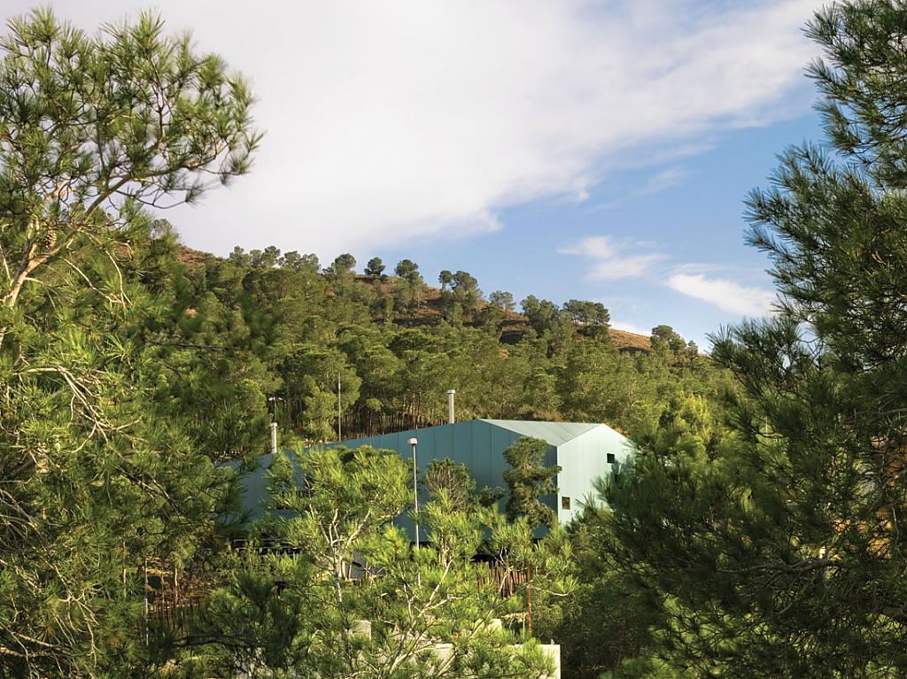 House Among Pines By Xpiral