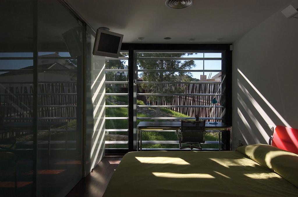 House Among Pines By Xpiral