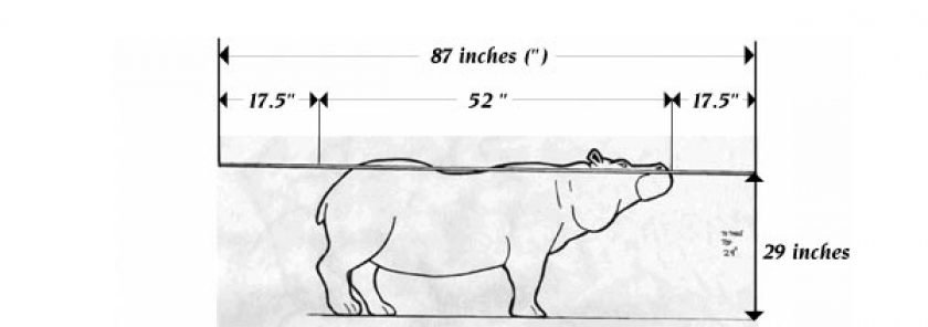 Collection Of Animals Tables