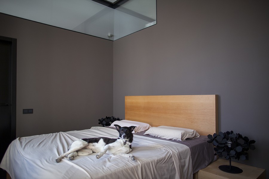 Apartment Design Constant Motion in Kiev