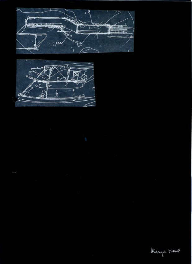 Gorgeous Single Floor House