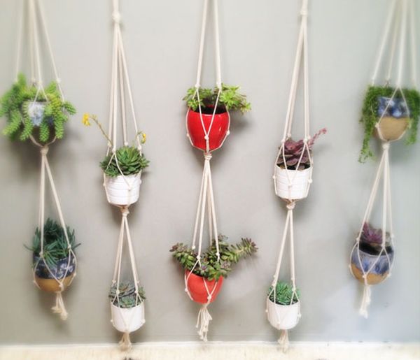 Hanging Planters And Container Garden Ideas For Indoors