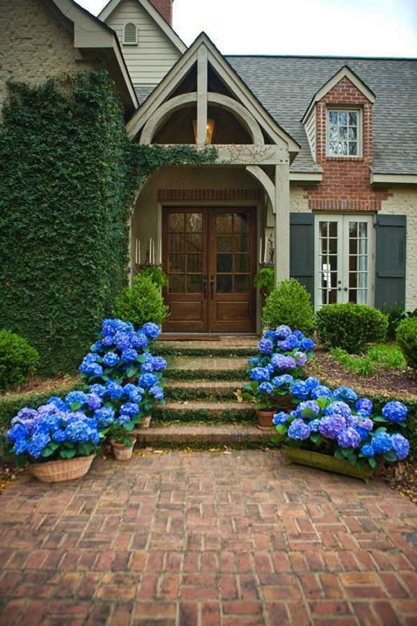Hinting Towards a Happy Home