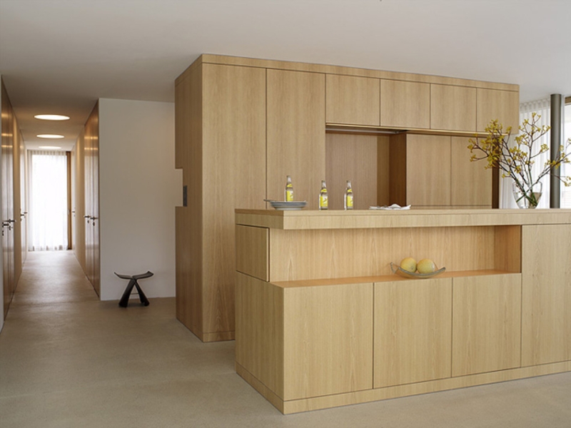 Inclined Modern House