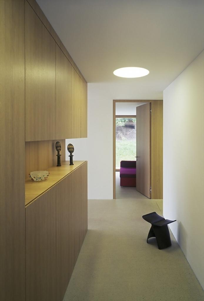 Inclined Modern House